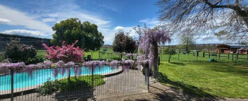 Whakatu House | Dewdrop Cottage