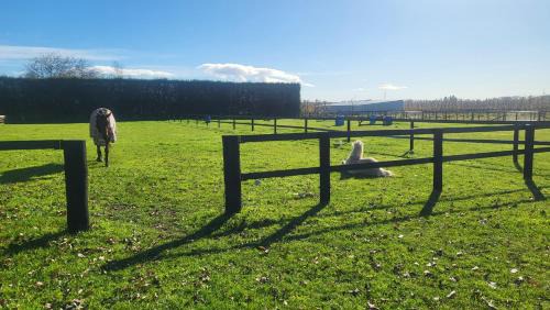 Whakatu House | Dewdrop Cottage