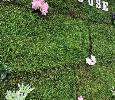 Taman Lapangan Terbang House | D’House