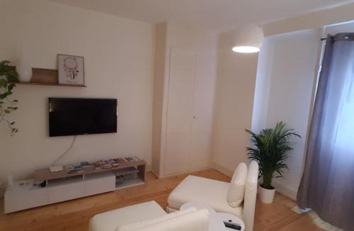 Village-Suisse Apartment | DIAMOND appartement au centre de Genève