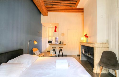 Carnot - Gailleton Apartment | Dify Apartment Ainay