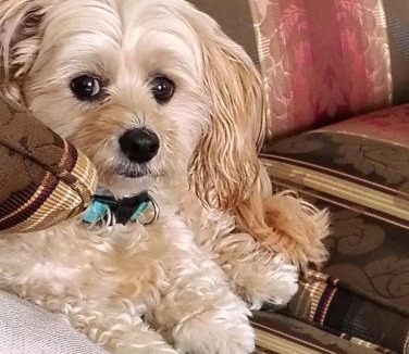 Digby Bed & Breakfast | Digby Bed and Breakfast