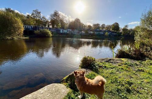 Bont Newydd Ski Chalet | Dillons Lakeside Lodge