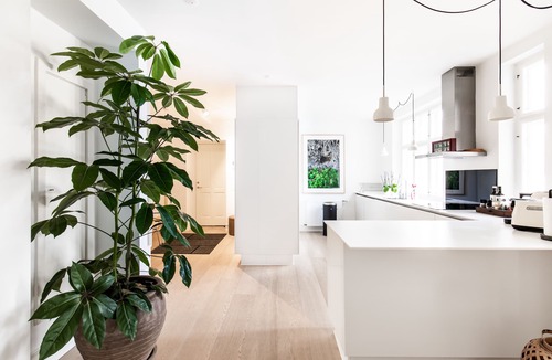 Copenhagen City Centre Condo | Dinesen Collection Luxury Condos By Royal Danish Theatre