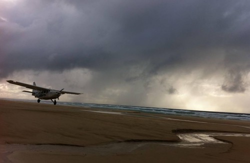 Happy Valley House | ⭐ 🐠⭐ Dingosden Happy Valley⭐️🐠⭐️