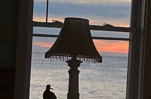 Salisbury Cottage | Direct Ocean Front Beach Cottage