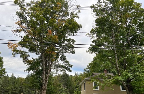 Brighton House | Direct VAST Access, In Town