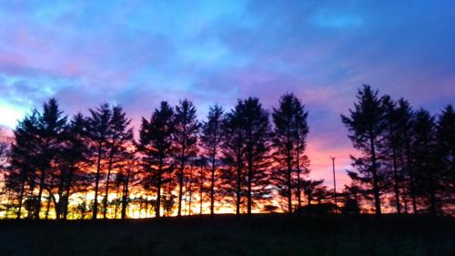 Aberdeen House | Disblair House