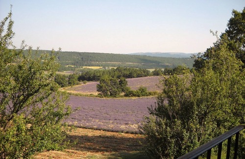 Aurel Cottage | Discover Aurel Unexpected '