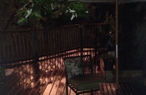 Little Falls House | Discover Tranquility in this Quaint Cozy Home by the River!