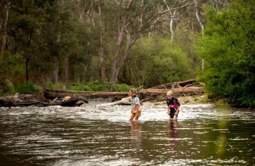 Freeburgh Resort | Discovery Parks - Bright
