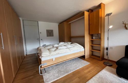 Acletta Apartment | Disentis mountain view