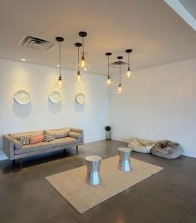 Kissimmee Apartment | Disney Studio 2 Queens & Shuttle
