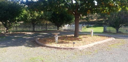 Dixons Creek Bed & Breakfast | Dixiglen Farm