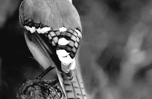 Acomb Apartment | DO NOT BOOK