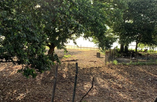 La Mata House | Here, no limits.