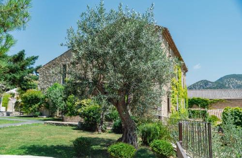 Condorcet Bed & Breakfast | DODO etc