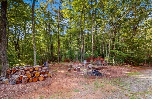 Blue Ridge Cabin | Dog-friendly cabin with wraparound deck, outdoor firepit, & game room