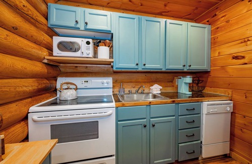 Thayerville Cabin | Dog Friendly Deep Creek Log Cabin w/Private Hot Tub