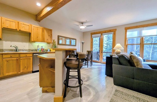 Keystone Condo | Dog friendly, hot tub, free shuttle