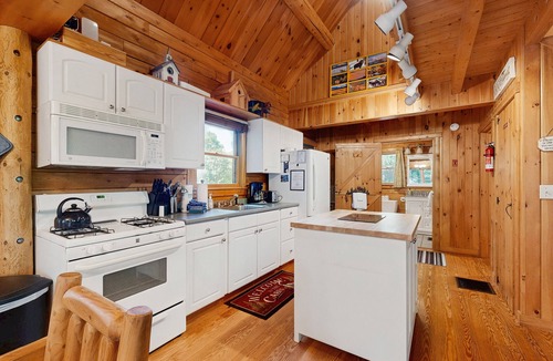 Greenville House | Dog-friendly lakefront home with deck, grill, WiFi, shared dock & water access