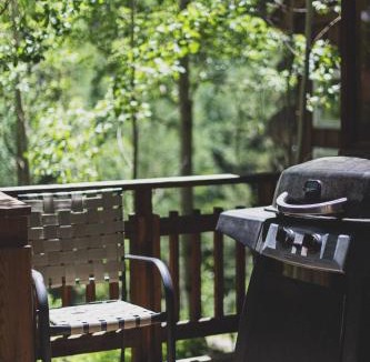 Garfield House | Dog Friendly Mountain High!