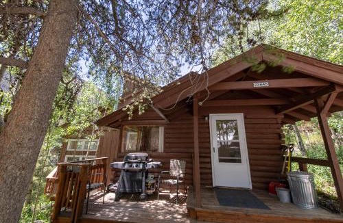 Garfield House | Dog Friendly Mountain High!