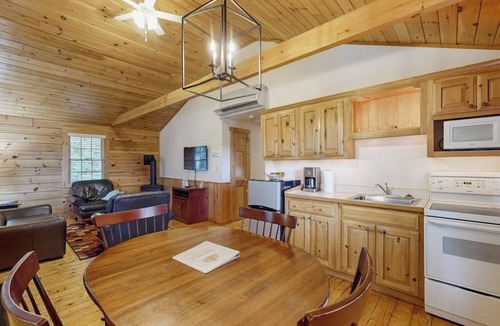 Northport Cabin | Dog-friendly nature lovers retreat with fireplace, WiFi, AC & playground