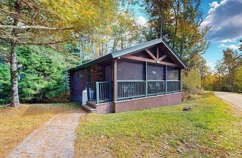 Northport Cabin | Dog-friendly nature lovers retreat with fireplace, WiFi, AC & playground