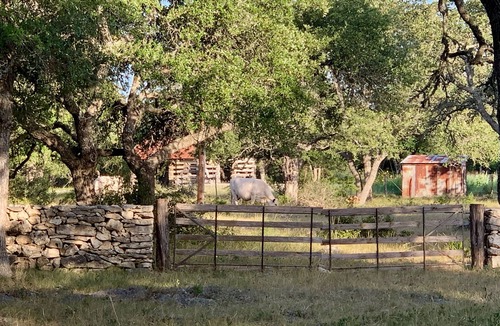 Kendall County House | Dog-Trot Home on secluded acreage with pool and game room.