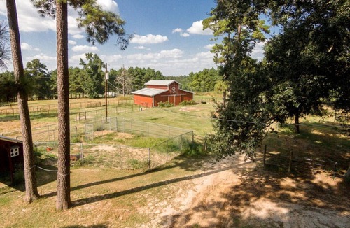 Woden Cabin | Dogwood Cabin at Tall Timbers Retreat