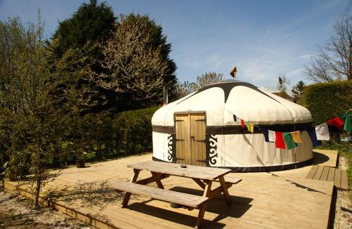 Ewhurst Green Other | Dogwood Yurt