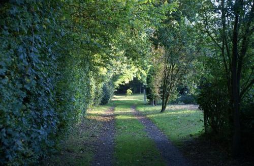 Ewhurst Green Other | Dogwood Yurt