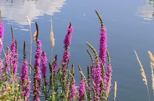 Eaucourt-sur-Somme Boat Rental | Dolfyn nuit sur l'eau en duo
