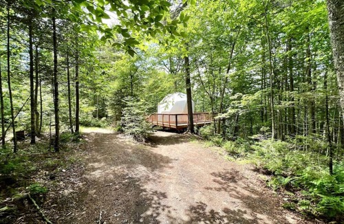 Saint-Gabriel-de-Valcartier House | Dome # 4 with a view to the forest.