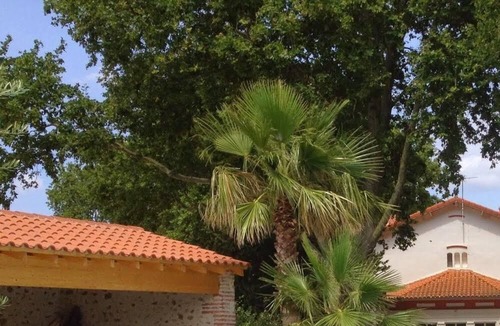 Saint-Genis Cottage | Domaine Castell de Blés - Gîte "Les Albères"
