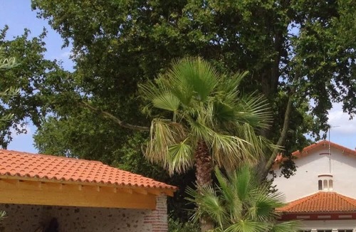 Saint-Genis Cottage | Domaine Castell de Blés - Gîte Vermeille