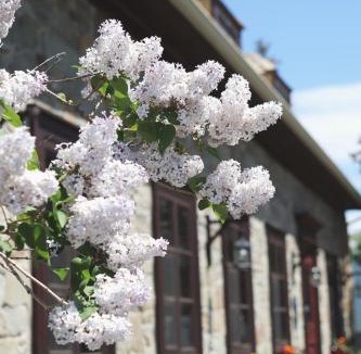 Saint-Pierre-de-l'lle-d'Orleans Bed & Breakfast | Domaine Steinbach Cidrerie B&B Distillerie