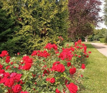 Sainte-Agathe-la-Bouteresse Bed & Breakfast | Domaine du Perrier