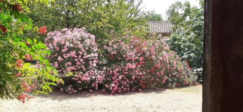Leguevin Bed & Breakfast | Domaine Agricole de Labarthe