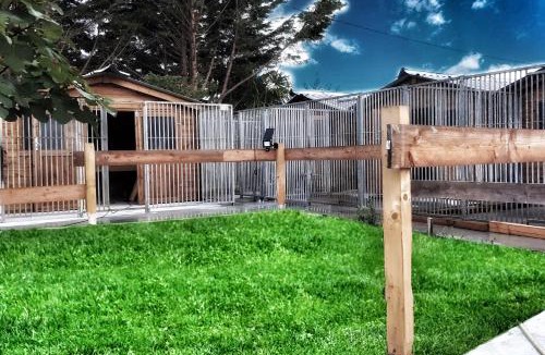 Pouillon House | Domaine Baraque