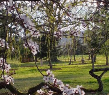 Ouches Bed & Breakfast | DOMAINE BERENGUER