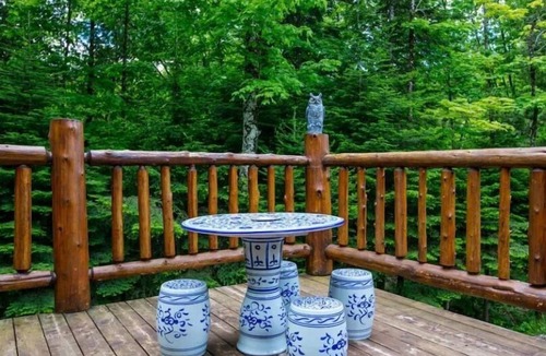 Grenville-sur-la-Rouge Ski Chalet | Domaine La Cedriere.