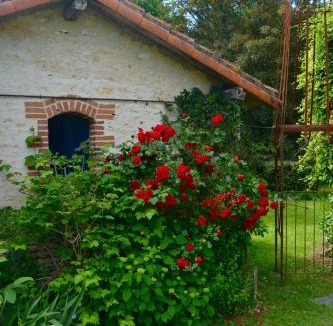 Usson-du-Poitou House | Domaine d azac