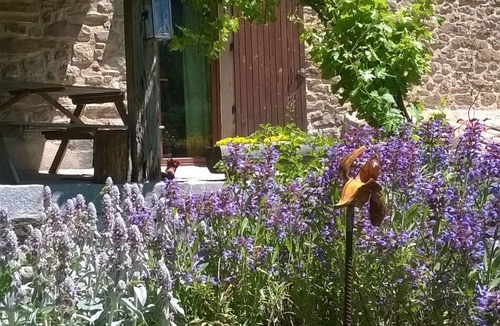 Castellet-les-Sausses Cottage | Domaine du Fâ: "l'école" self-catering cottage with panoramic view