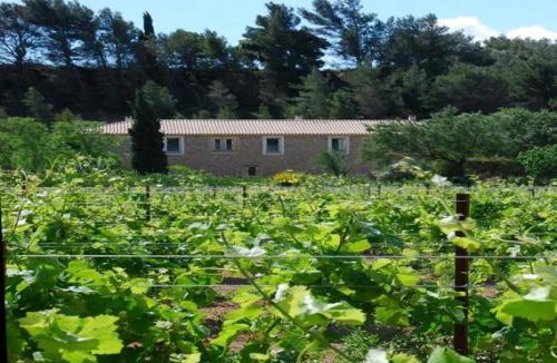 Pouzols-Minervois Bed & Breakfast | Domaine de "Creva-Tinas"