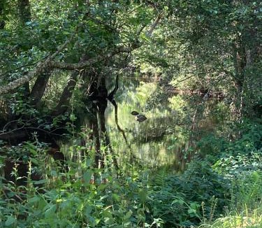 Combressol Apartment | Domaine de Feix