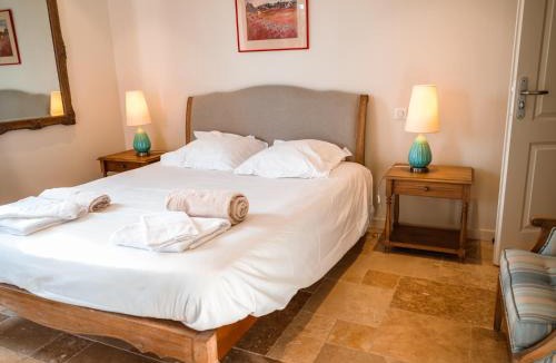 Castelnau-de-Montmiral Villa | Domaine de la durantie - villa avec jacuzzi