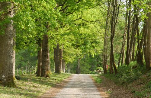 Gennes Bed & Breakfast | Domaine de Joreau