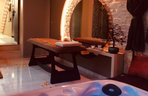 Arcais House | Domaine de l'Angélique - Loft avec SPA privatif - Marais poitevin entre Niort et La Rochelle